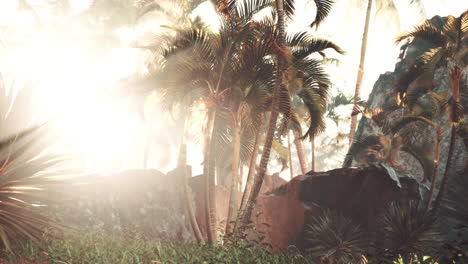 peaceful sunlight streaming through palm leaves in oasis