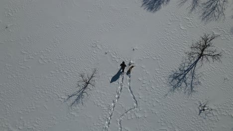 Man-Walking-With-His-Dog-In-The-Snow