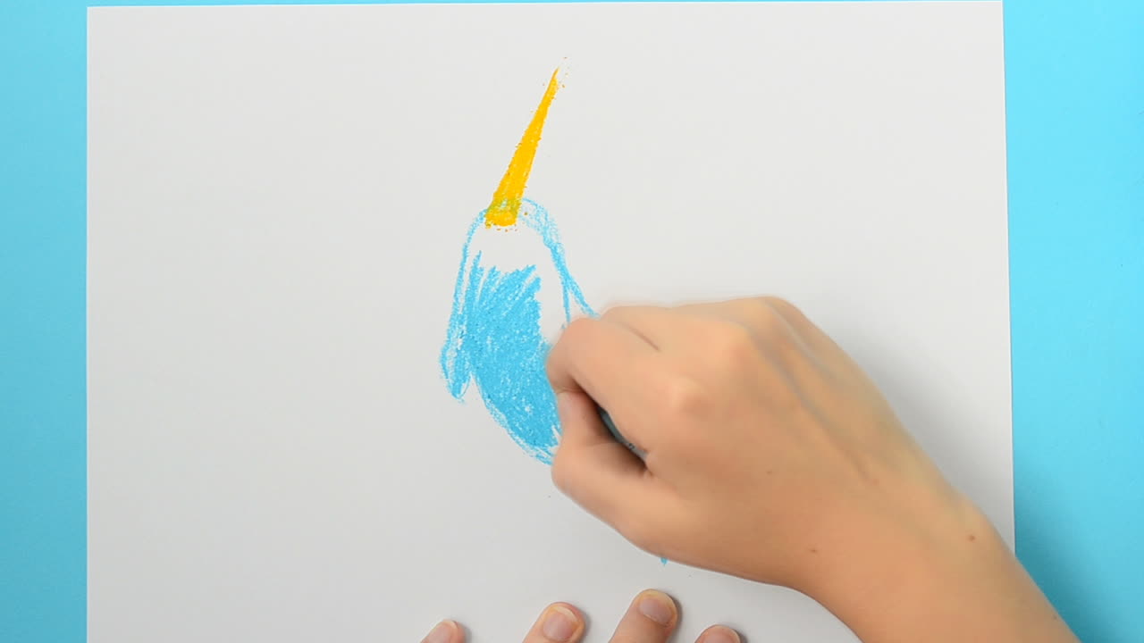 Draw a dolphin. Monodon monoceros. The child draws the picture. The accelerated video