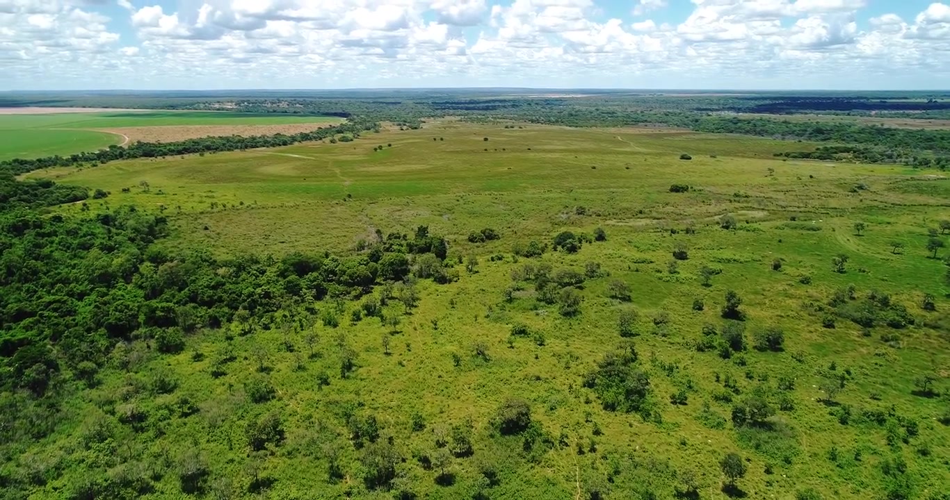 Wet agricultural field and native cerrado vegetation near Arinos, Minas Gerais, Brazil under scattered clouds during dry season. Rural Brazilian landscape with grassland and farmland, forward flyover