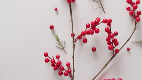 video of christmas decoration with red berries and copy space on white background