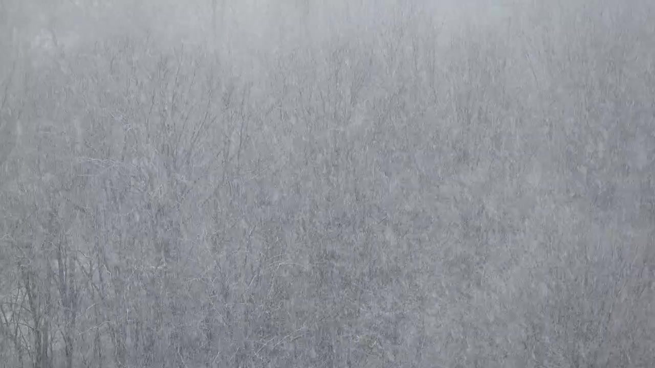 Blizzard in the winter.