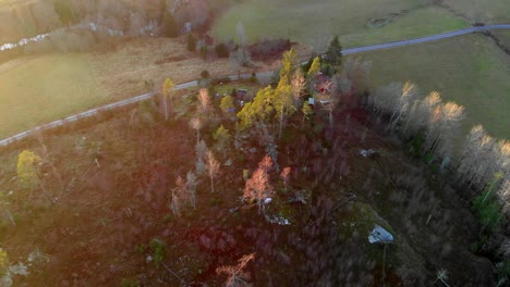 aerial view of winter sunset over rural house and tall trees