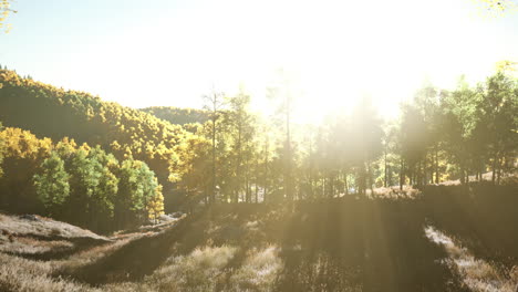 valley with autumn trees among the mountains lit by the sun at sunset