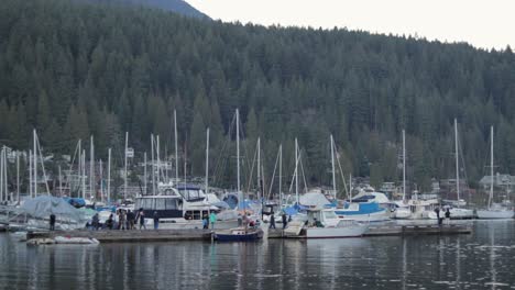 Various-drone-and-DSLR-shots-at-beautiful-Deep-Cove-in-Vancouver,-BC