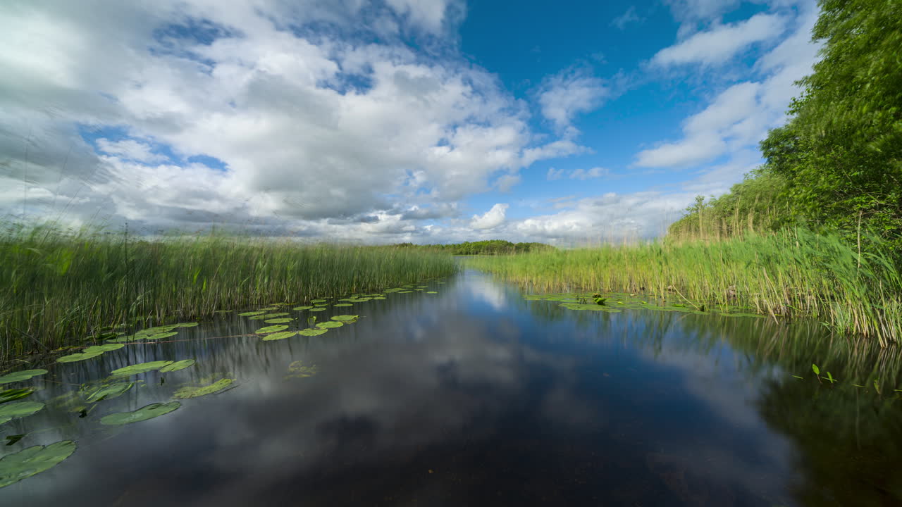 lapso de tiempo del lago local con hierba de agua y juncos que reflejan nubes en movimiento en un día soleado de verano en el condado de leitrim en irlanda