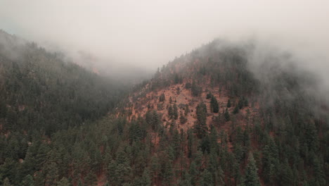 Langsamer-Luftüberflug-über-Immergrünem-Wald-Auf-Dem-Nebligen-Gipfel-Des-Cheyenne-Canyon,-Colorado