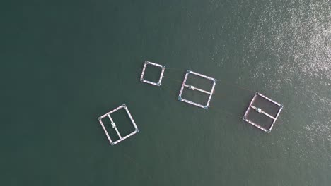 overhead drone shot of dolphin pens at the location of the infamous dolphin hunt, taiji, wakayama prefecture, japan