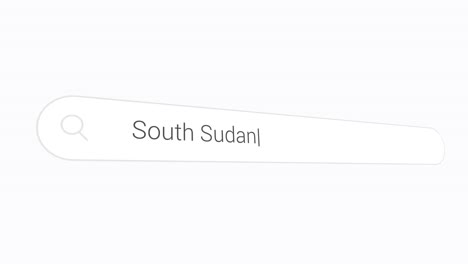 entering south sudan on the seach field of computer website