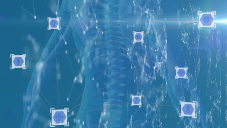 animation of network of connections over digital human body