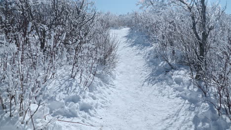 hiker's pov walking in snowcapped mona park along balwangsan mountain summit trail on sunny day in winter