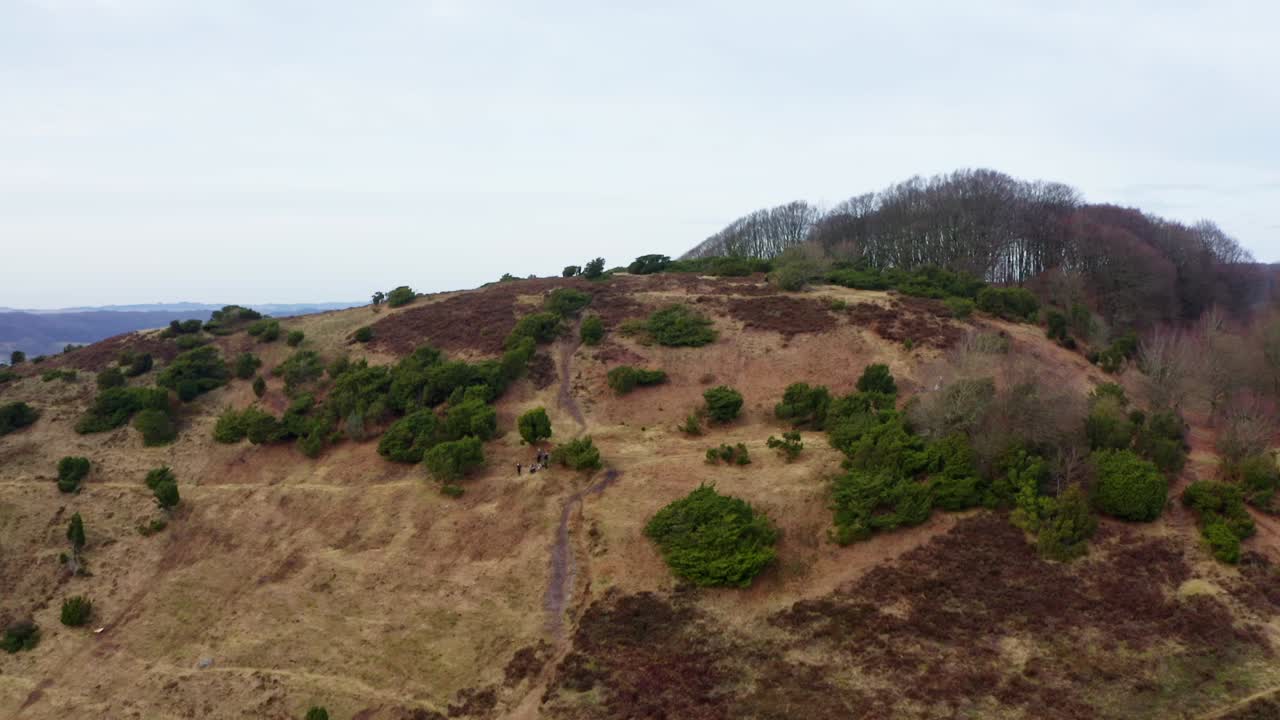 toma aérea de un hermoso bosque en dinamarca