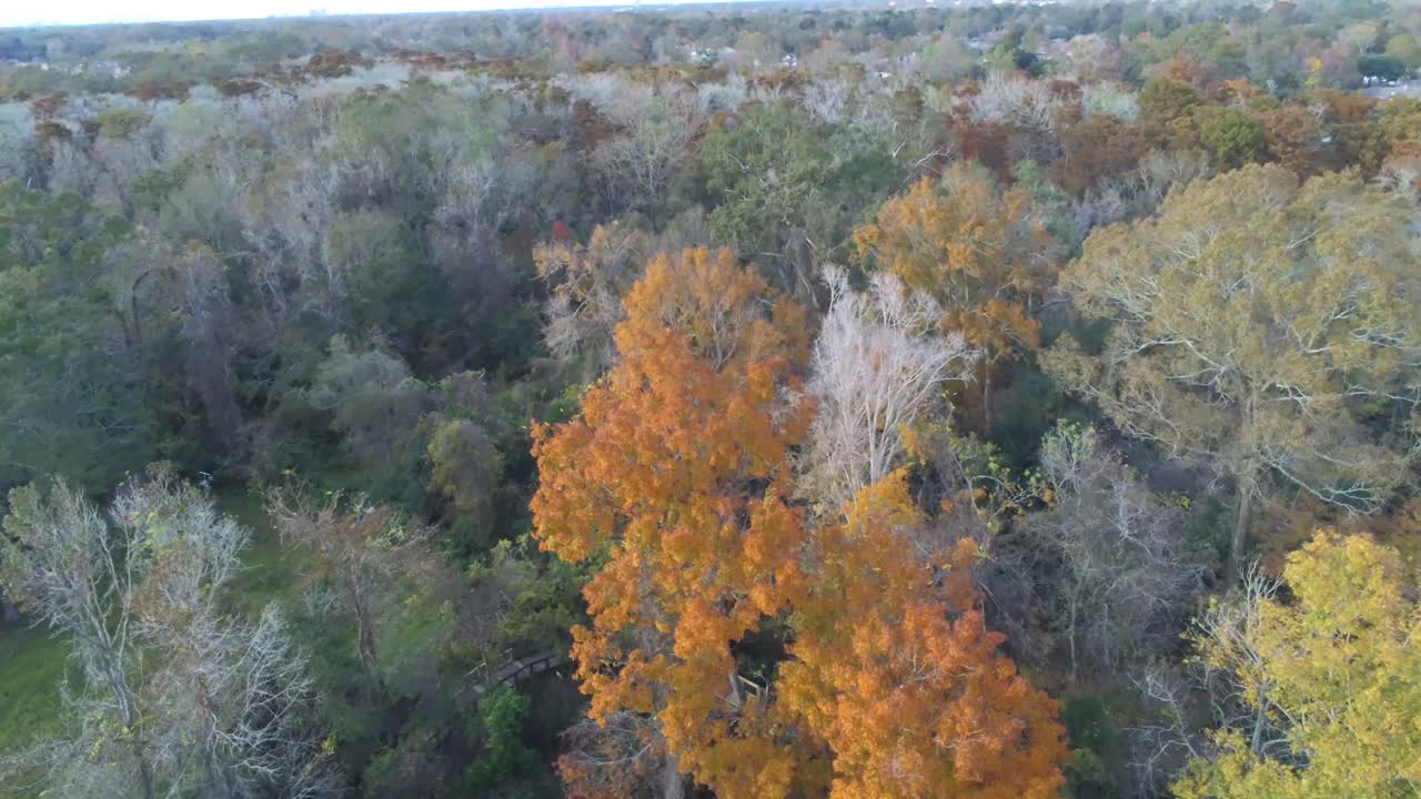 быстро летит над природной тропой