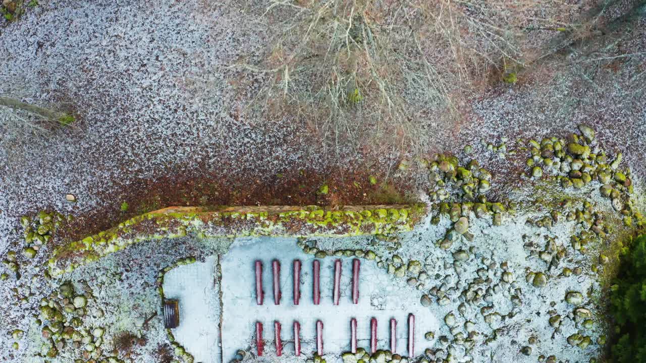 Vista aerea dall'alto di un albero spoglio e dei resti di una chiesa di campagna abbandonata