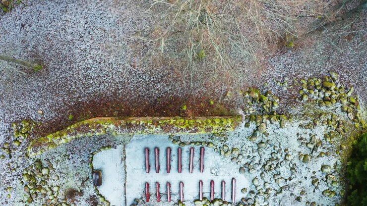 Vista aerea dall'alto di un albero spoglio e dei resti di una chiesa di campagna abbandonata