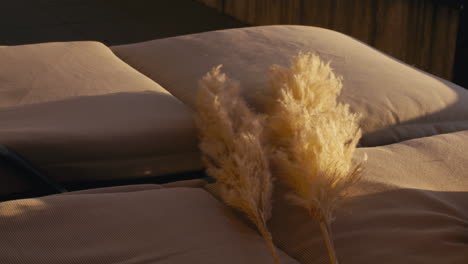 static shot of pampas blowing in the wind on cream cushions