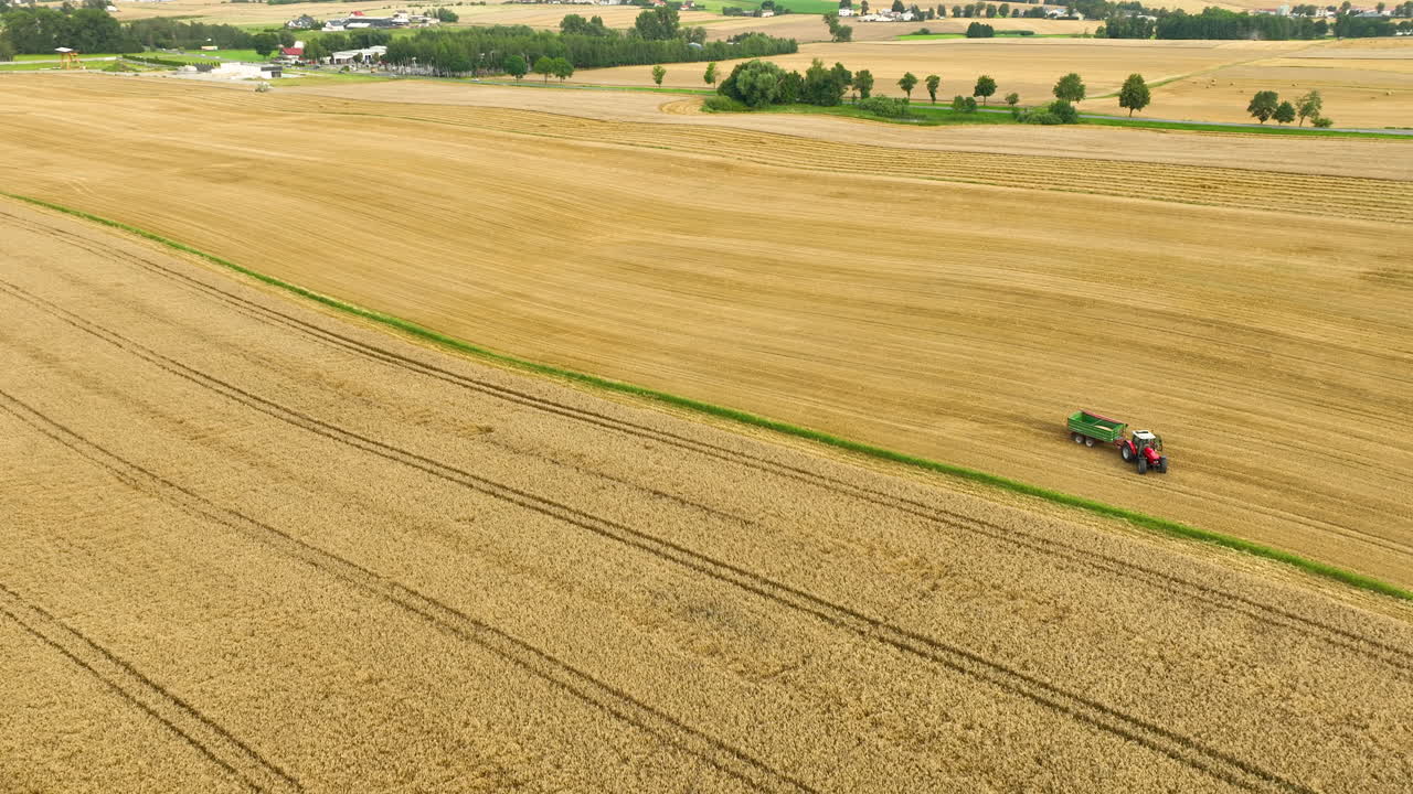 Aerial shot of a red combine harvester cutting through a wheat field, with another tractor visible on a dirt path nearby. The image captures the scale of modern farming