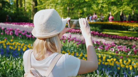 touristenbilder von blumenbeeten in amsterdam