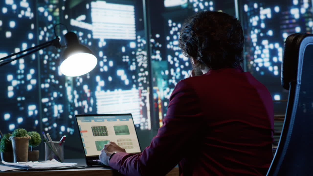 consultor económico que se ocupa de la gestión financiera