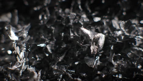 silver fillings macro shot