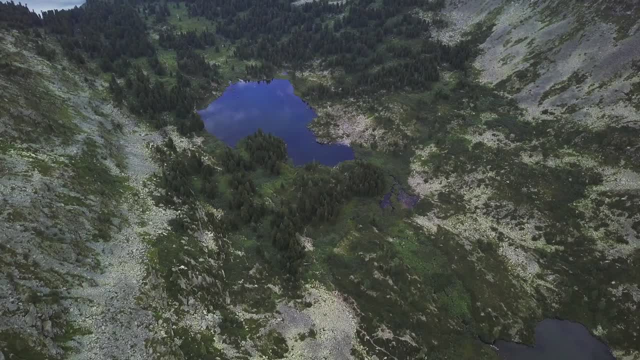 vista aérea de un lago de montaña y un bosque