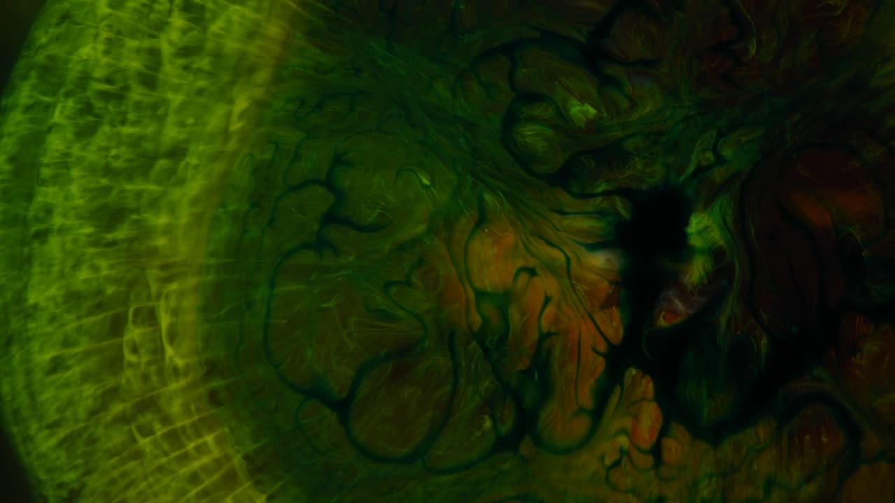 ¿batman y robin nos salvarán de la criatura verde de las profundidades?