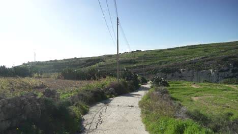 Leere-Straße,-Die-An-Einem-Sonnigen-Tag-Zum-Stadtrandtal-Der-Insel-Gozo-Führt