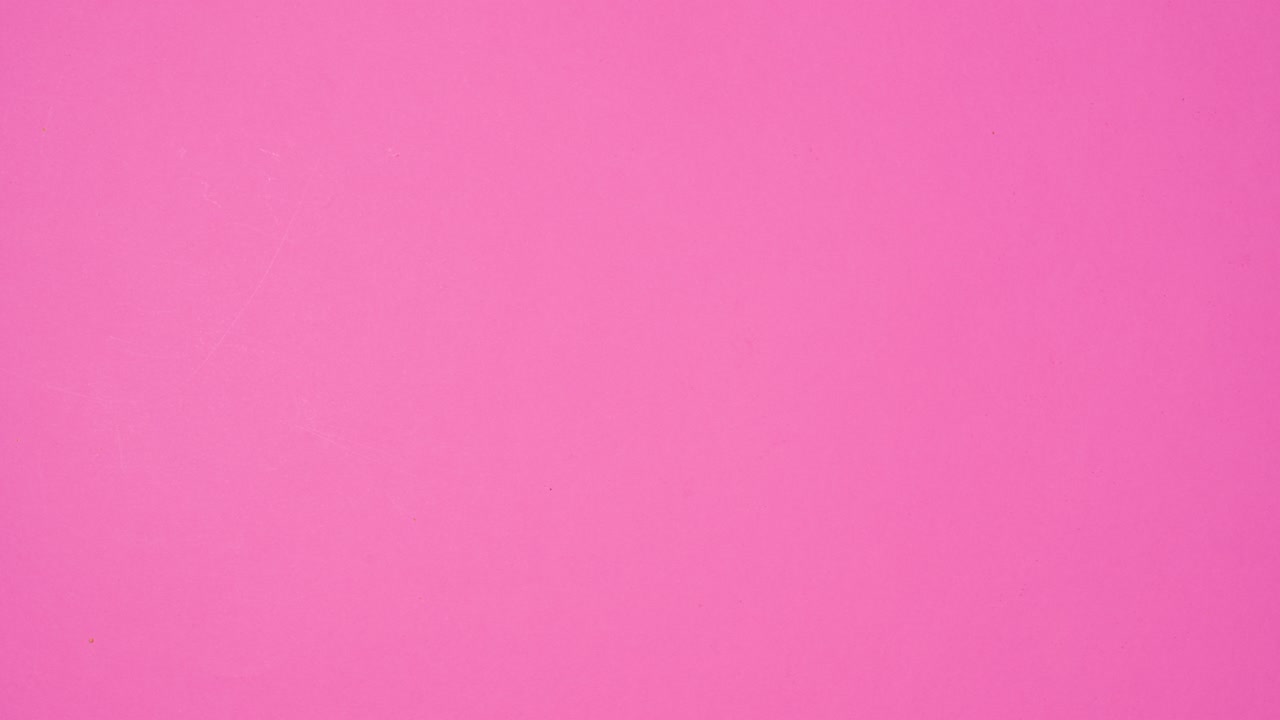 Round cookies in two columns appear on right side of vibrant pink theme. Stop motion flat lay