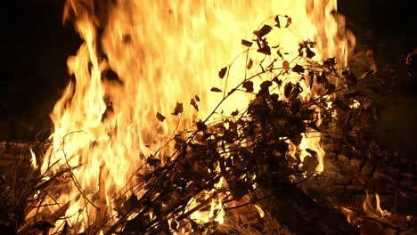 Flammend-Feurig-Brennende-Trockene-Blätter-In-Stockfinsternis