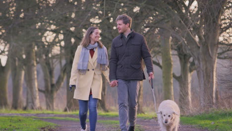 couple with woman with prosthetic hand walking pet dog through winter or autumn countryside