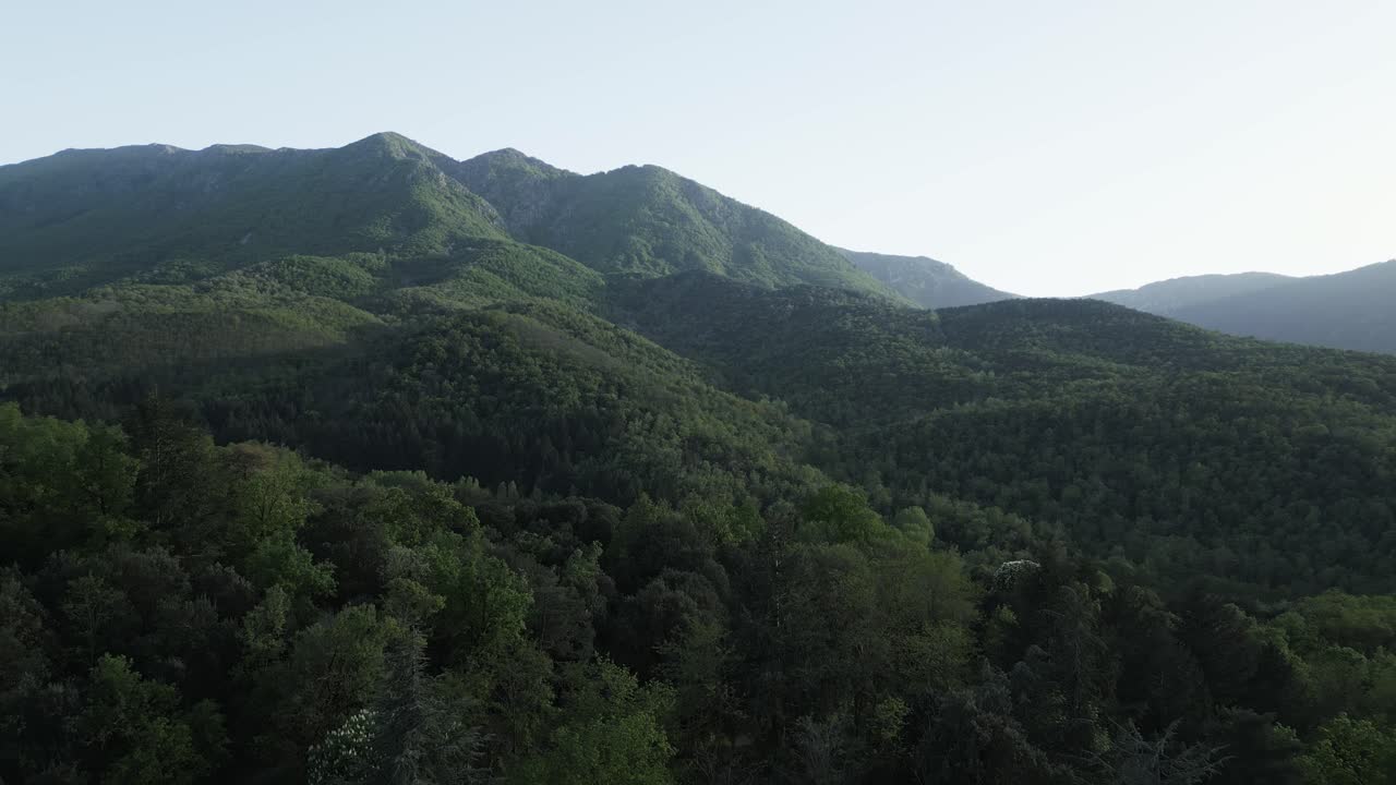 Lush vegetation blankets undulating hills, creating a tranquil landscape under a serene sky, showcasing the beauty of a mediterranean forest