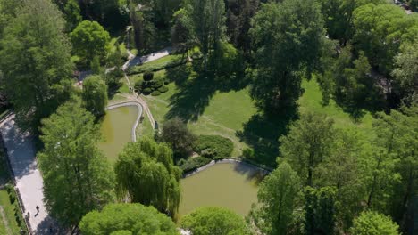 Aerial-shot-pulling-up-and-away-from-Danube-Park-in-Novi-Sad,-Serbia-on-a-bright-day