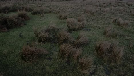 Irish-peat-bog-aerial-view