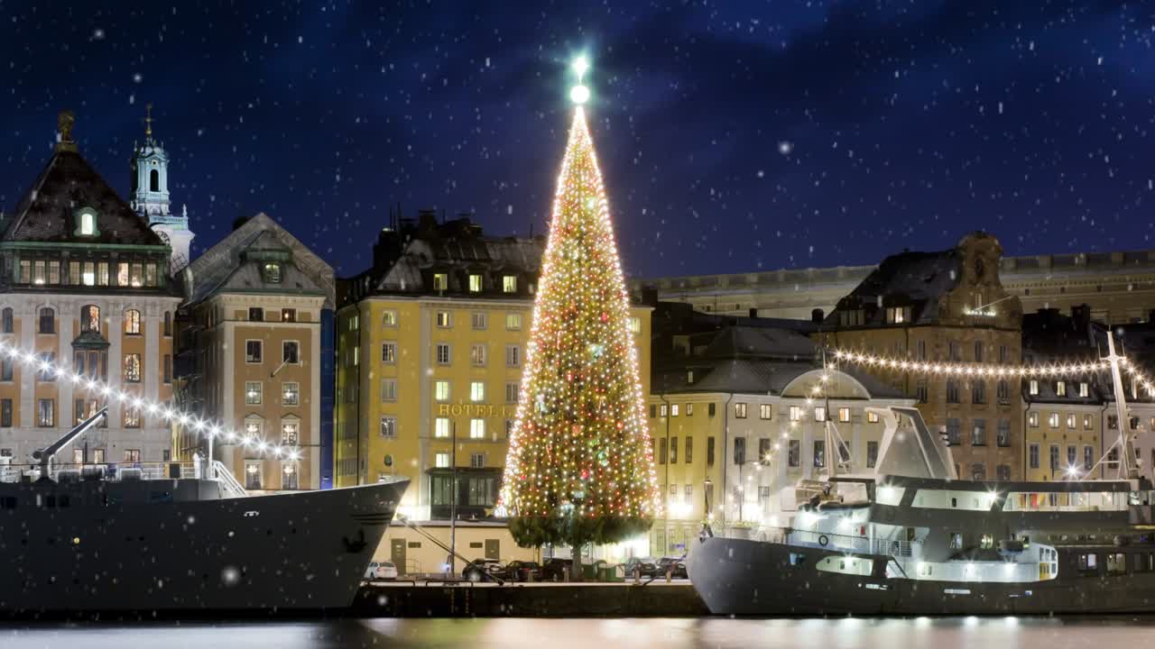 스홀름의 오래된 도시와 크리스마스 트리