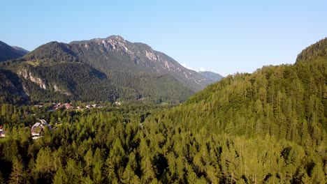 vista aérea de un bosque de valle de montaña