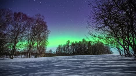 Beautiful-purple-starry-sky-where-the-dancing-northern-lights-contrast-above-a-wintry-Christmas-landscape