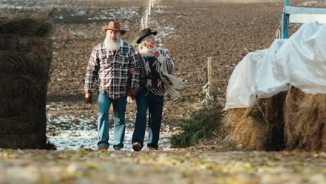 people walking at the farm