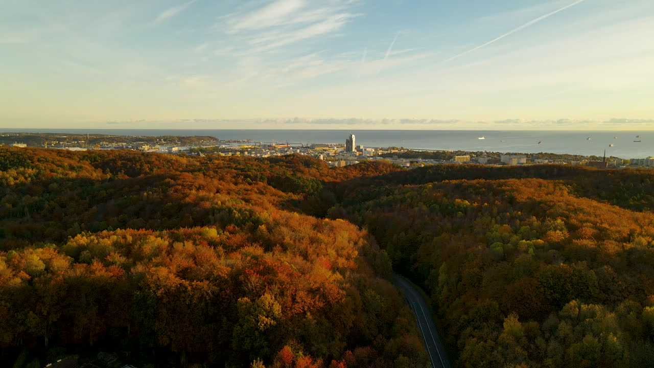 panorama del bosque de color rojo y el paisaje de la ciudad de gdynia en polonia
