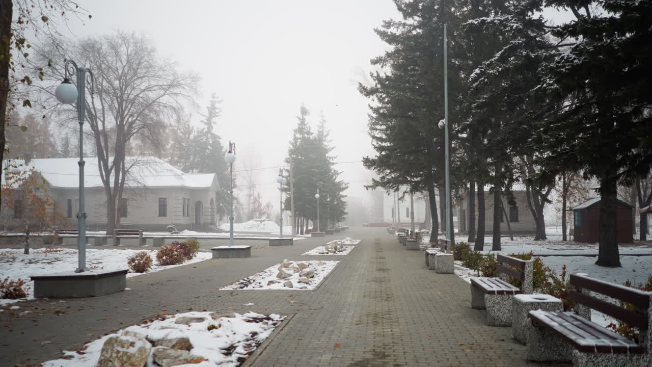 눈으로 인 조명 기둥, 나무, 주거 건물들이 평화로운 포장된 길을 가로지르는 안개가 인 대기, 멀리서 날아다니는 새들이 평온한 겨울 풍경에 활기를 불어넣습니다.