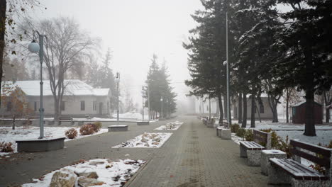 atmósfera nebulosa con postes de luz cubiertos de nieve, árboles y edificios residenciales alineados en un camino pavimentado pacífico, las aves que vuelan en la distancia añaden vida al sereno paisaje invernal