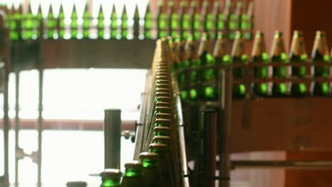 botellas de cerveza en la línea de fabricación de la fábrica. cinta transportadora de la industria de bebidas