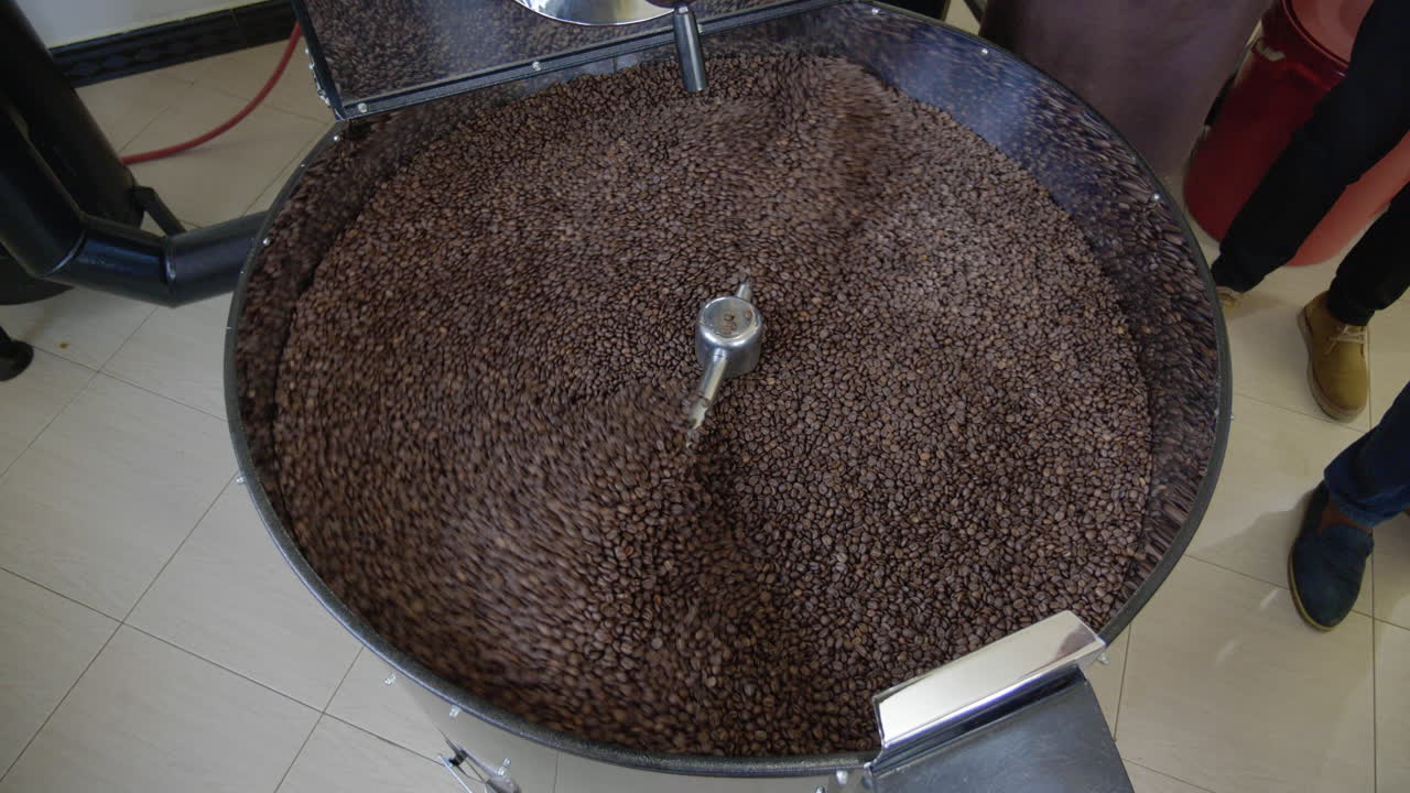 Tamburo della macchina per la torrefazione del caffè con chicchi di caffè tostati che vi si riversano dentro dopo la tostatura
