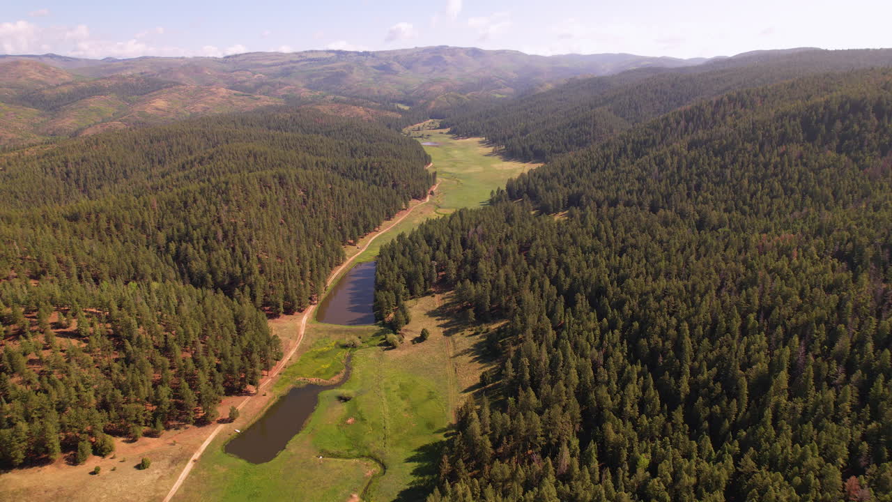 Santa Fe National Forest Pecos Wilderness spruce evergreen tree aerial drone United States woodland