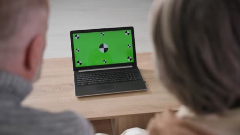 tecnologías para personas mayores, abuelos de cabello gris usan portátiles modernos con pantalla verde, vista por encima del hombro