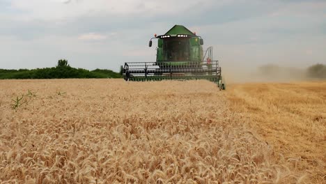 disparo de boom de la cosechadora de trabajo en el campo de trigo