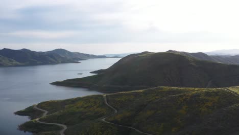 Drone-shot-of-beautiful-wildflower-covered-mountain-and-large-lake-in-the-background-during-California-Super-Bloom