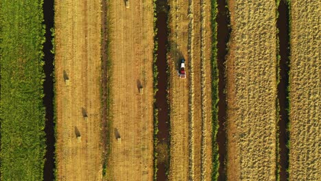 aerial view of hay harvest in a farmland