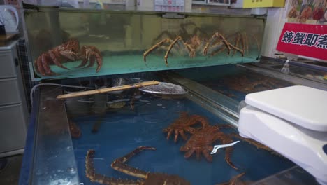 Hairy-and-king-crabs-caught-in-fish-tanks-at-Hakodate-Japan-morning-market