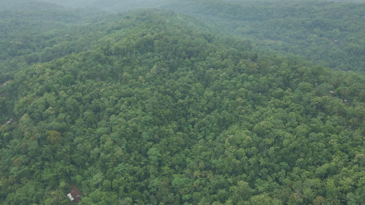 vista aérea de bosques tropicales mixtos