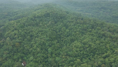 Vista-Aérea-Del-Bosque-Tropical-Mixto